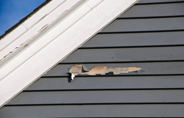 Best Siding Painting and Refinishing  in St Anthony, ID