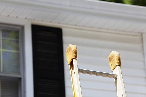 Affordable Siding Repair and Maintenance Services in St Anthony, ID